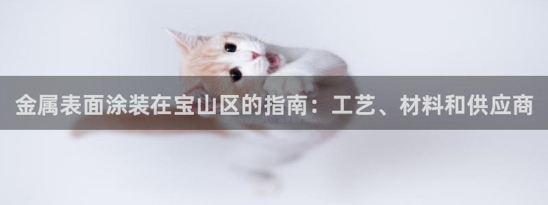美高梅酒店品牌故事
