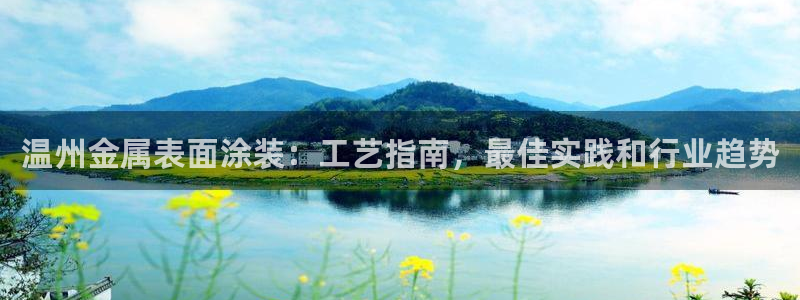 美高梅在澳门有几家分公司