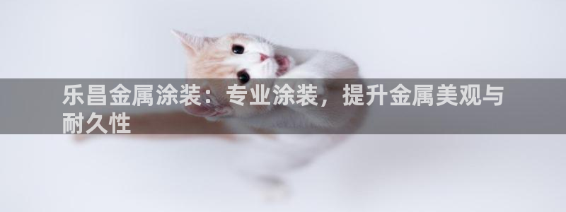 美狮美高梅酒店在哪