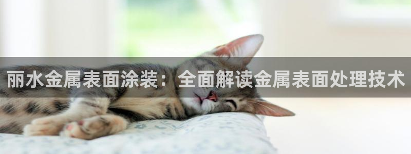 美高梅股票中国净资产多少