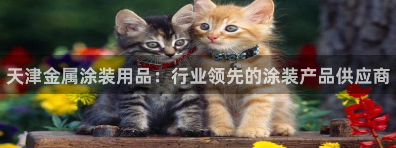 美高梅大酒店图片