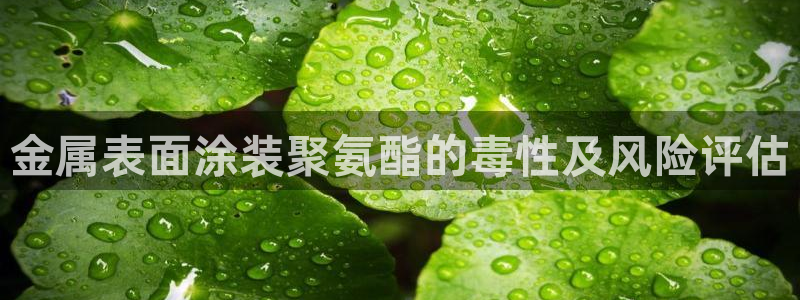 美高梅开业时间