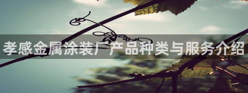 美高梅娱乐直营