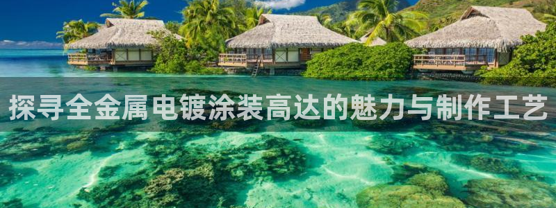 美狮美高梅酒店黑卡