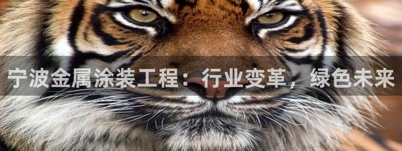 美高梅公司老板是谁