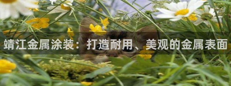 美高梅北京