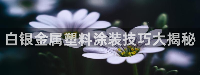 美高梅酒店香港