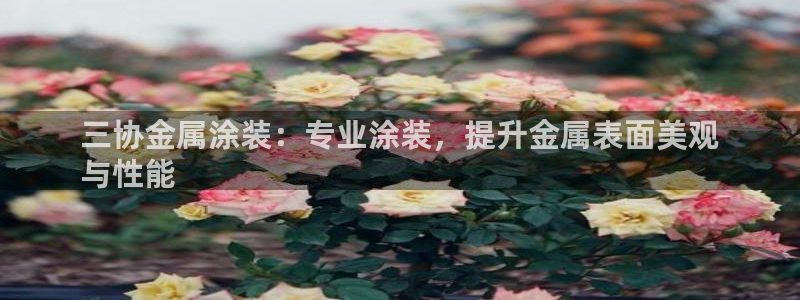 美高梅酒店官网