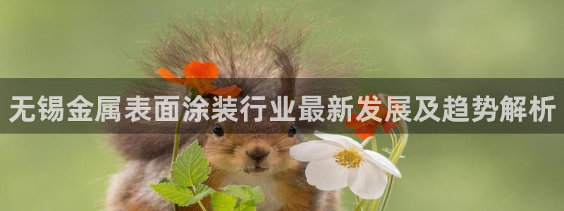 美高梅空中海洋秀是免费的吗