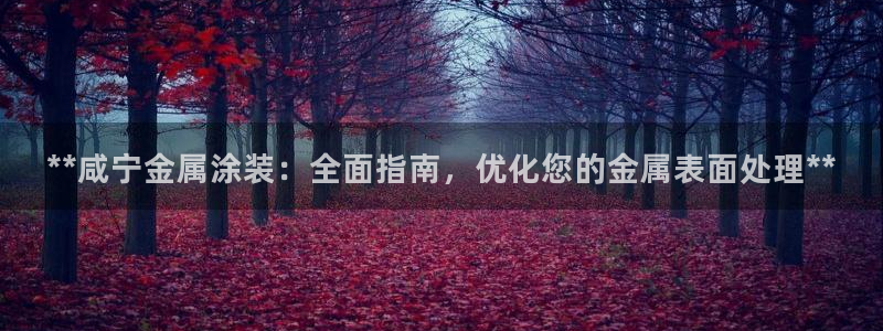美高梅酒店洗漱用品