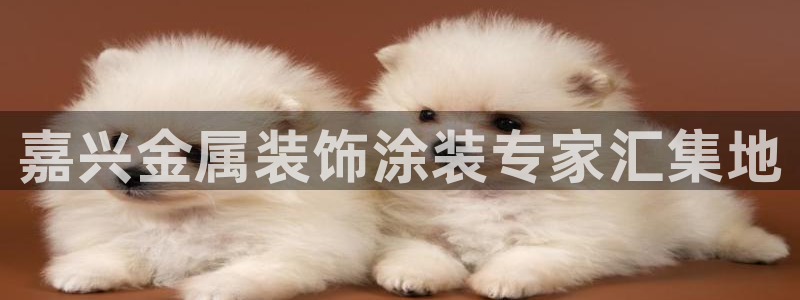 美高梅 股票