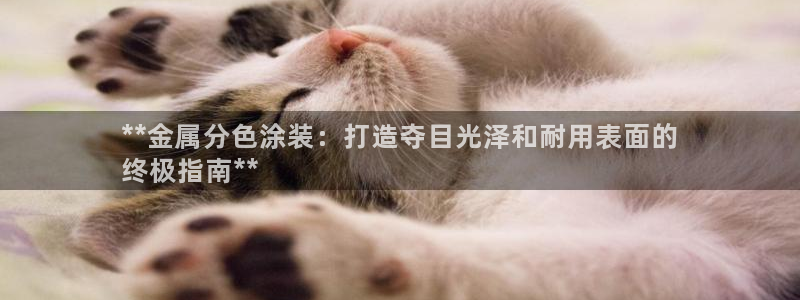 美高梅游戏推荐