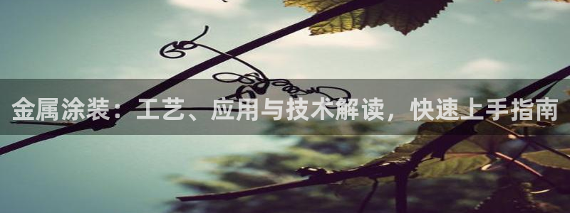 美高梅中国是什么公司