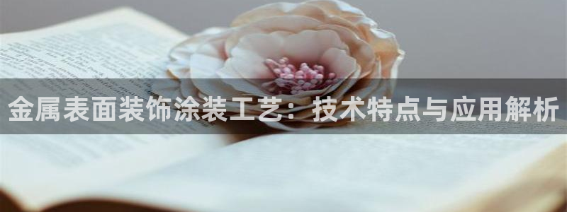何超琼美高梅国际集团