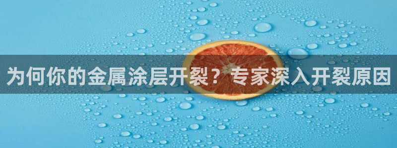 美高梅是做什么的澳门何超琼