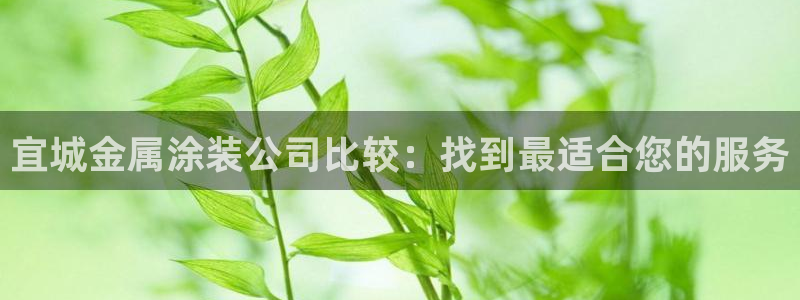 美高梅会员卡等级划分