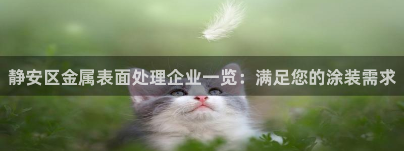 美狮美高梅酒店是几星级