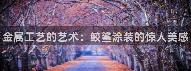 美高梅公司发展历程
