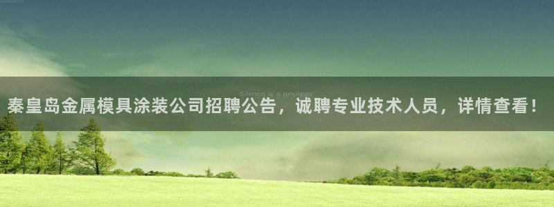 美高梅酒店分布