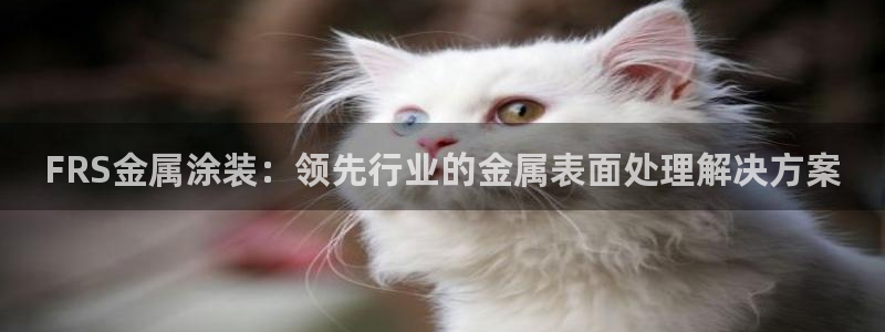 美高梅集团介绍