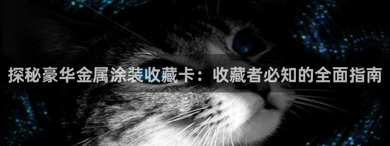 美高梅中国控股有限公司 介绍