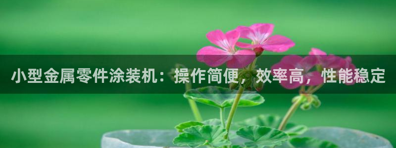 美狮美高梅酒店介绍