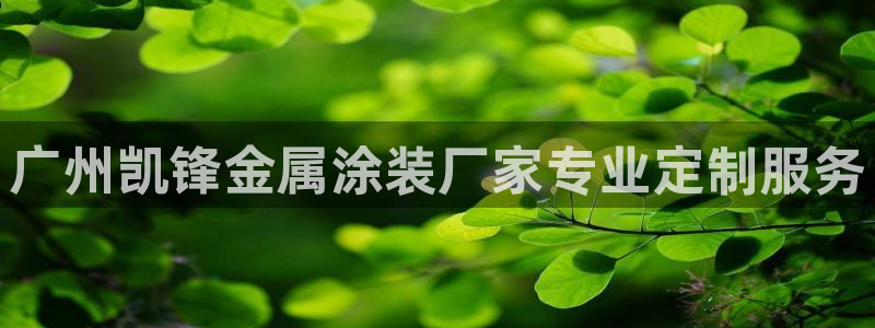 美高梅筹码颜色对应面值