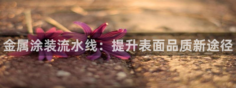 美高梅年收入