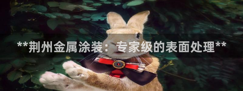 美高梅国际集团简介