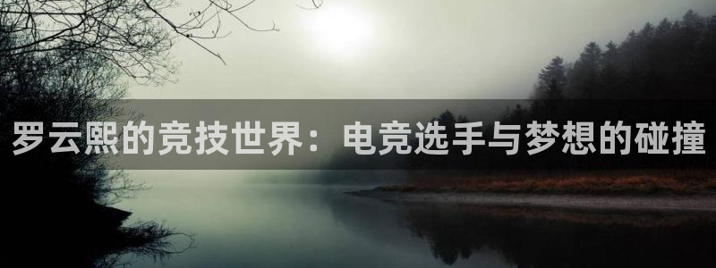 完美电竞世界